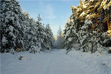 MOBA风格类肉鸽动作游戏《梦之形》现已推出试玩Demo 2025年5月正式发售